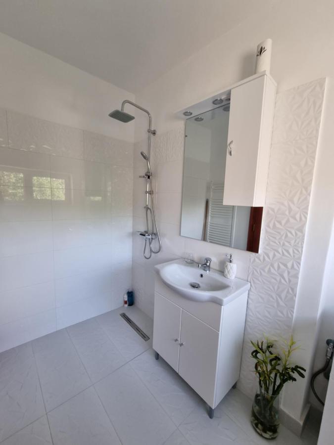 Apartamento Toma Boutique Braşov Exterior foto