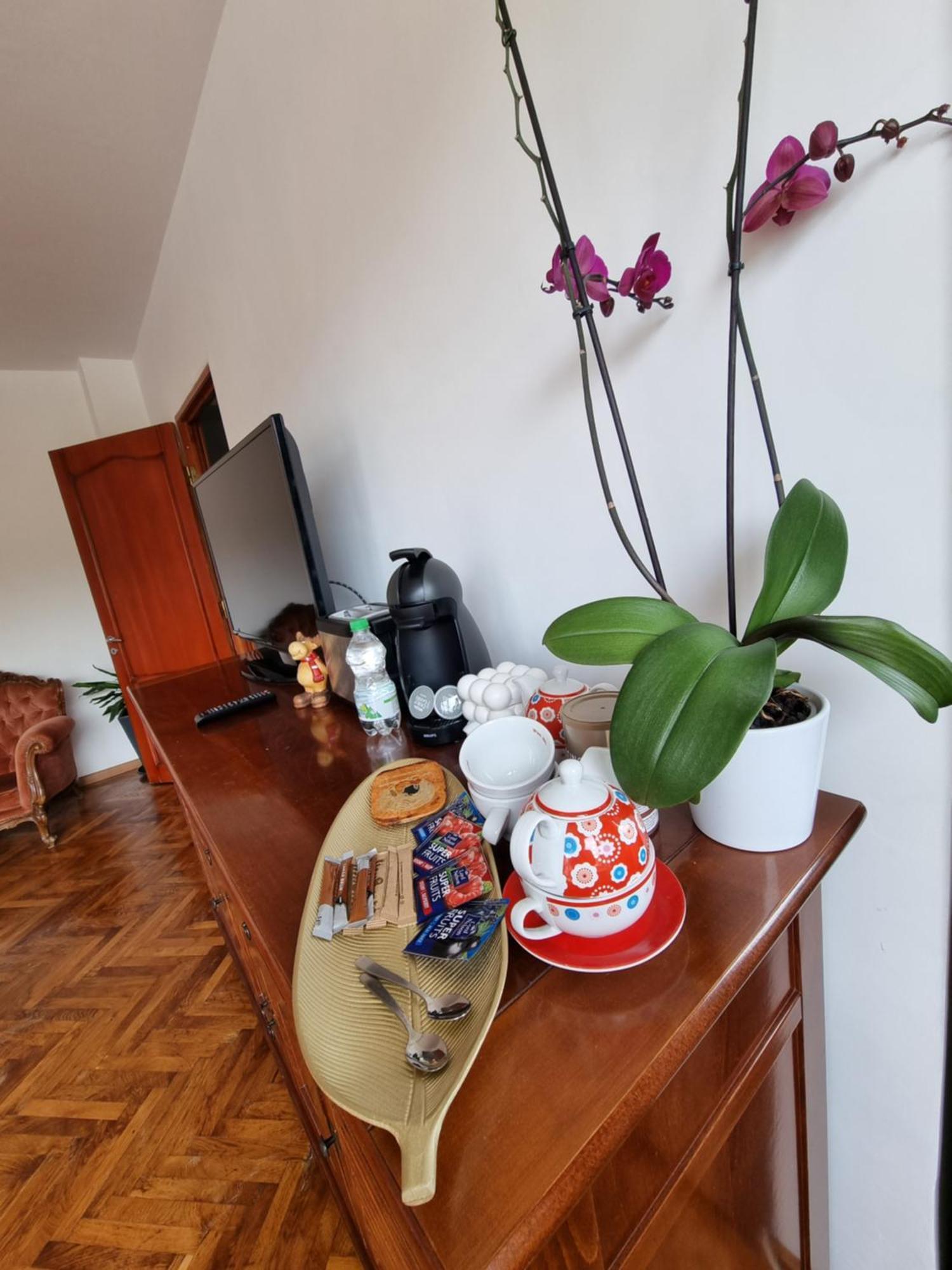 Apartamento Toma Boutique Braşov Exterior foto